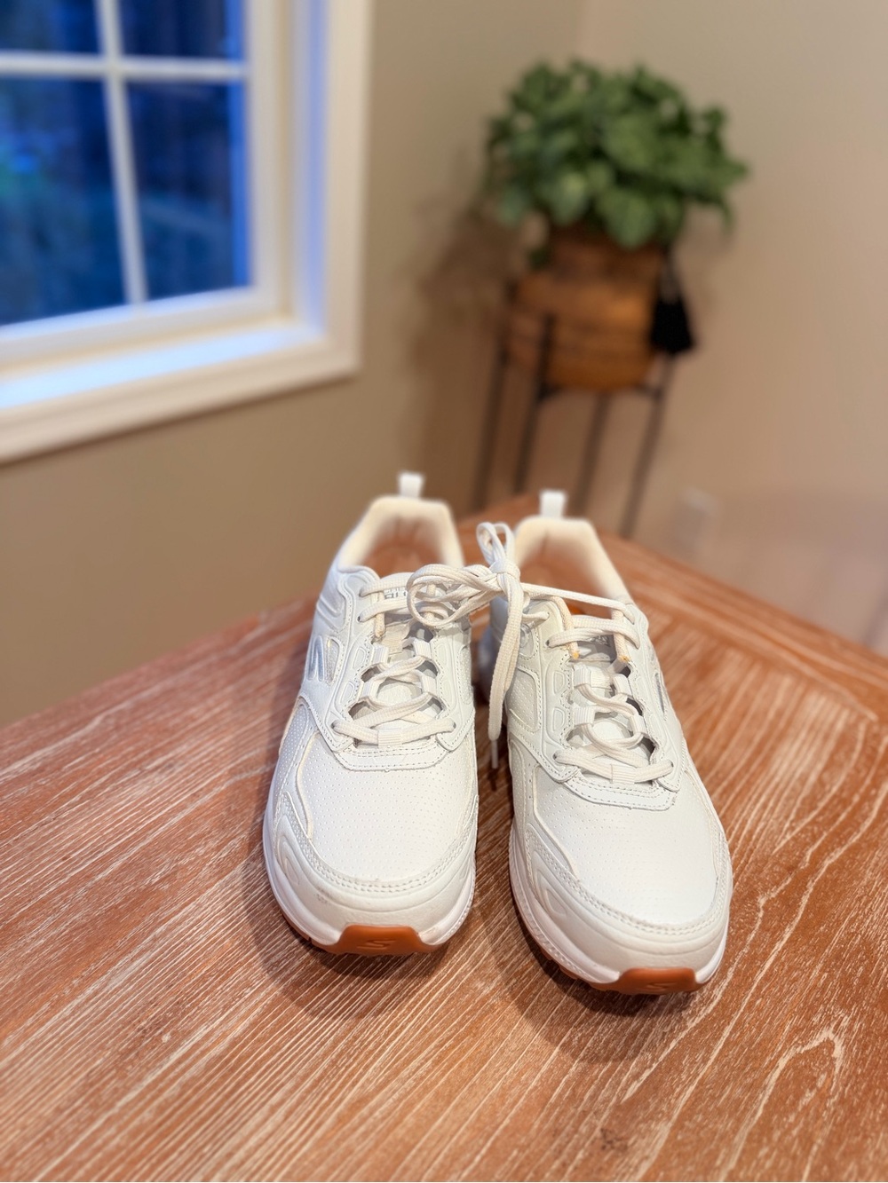 Sketchers Sneakers